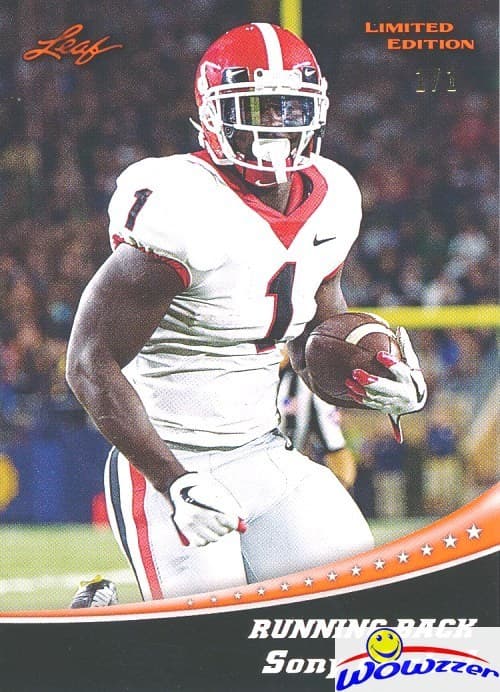 Sony Michel Draft 2018 Leaf 2018 Leaf example 2