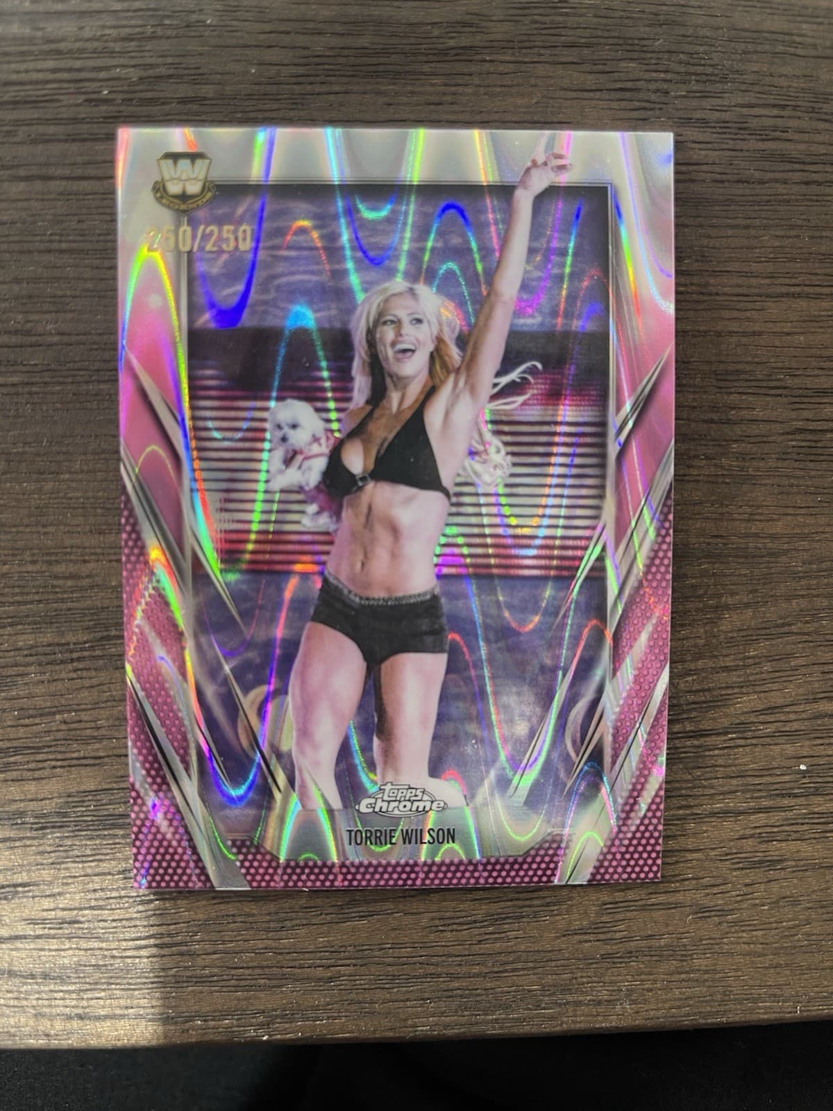 Torrie Wilson trading card