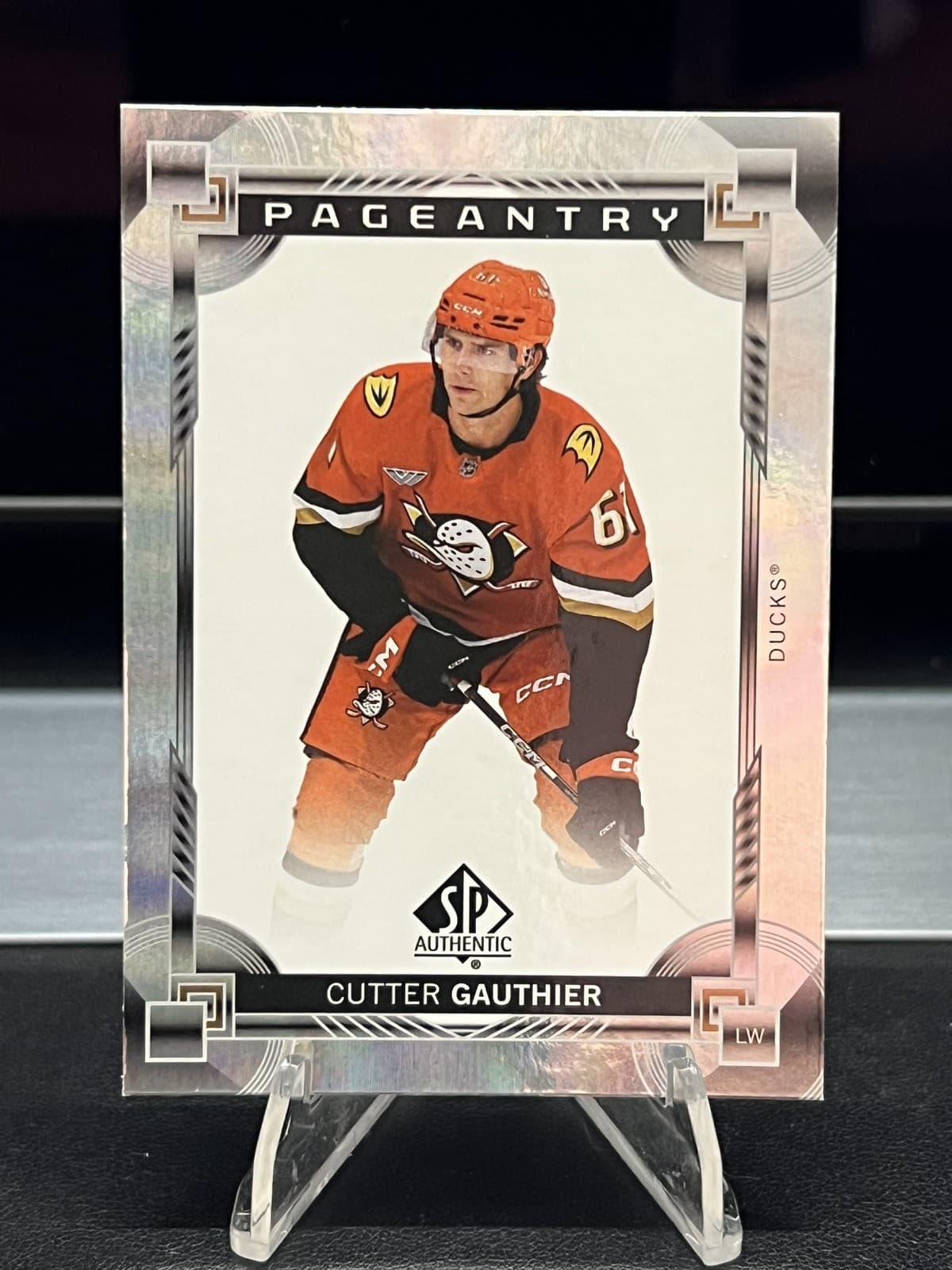 Cutter Gauthier Pageantry 2024 Unknown 2024 Unknown