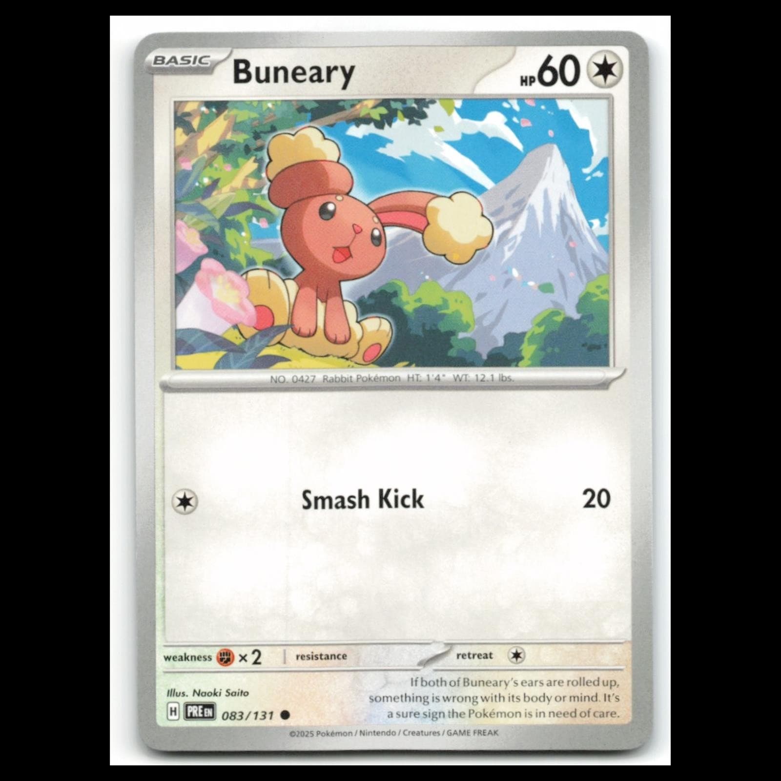 Buneary Scarlet 2025 Unknown 2025 Unknown