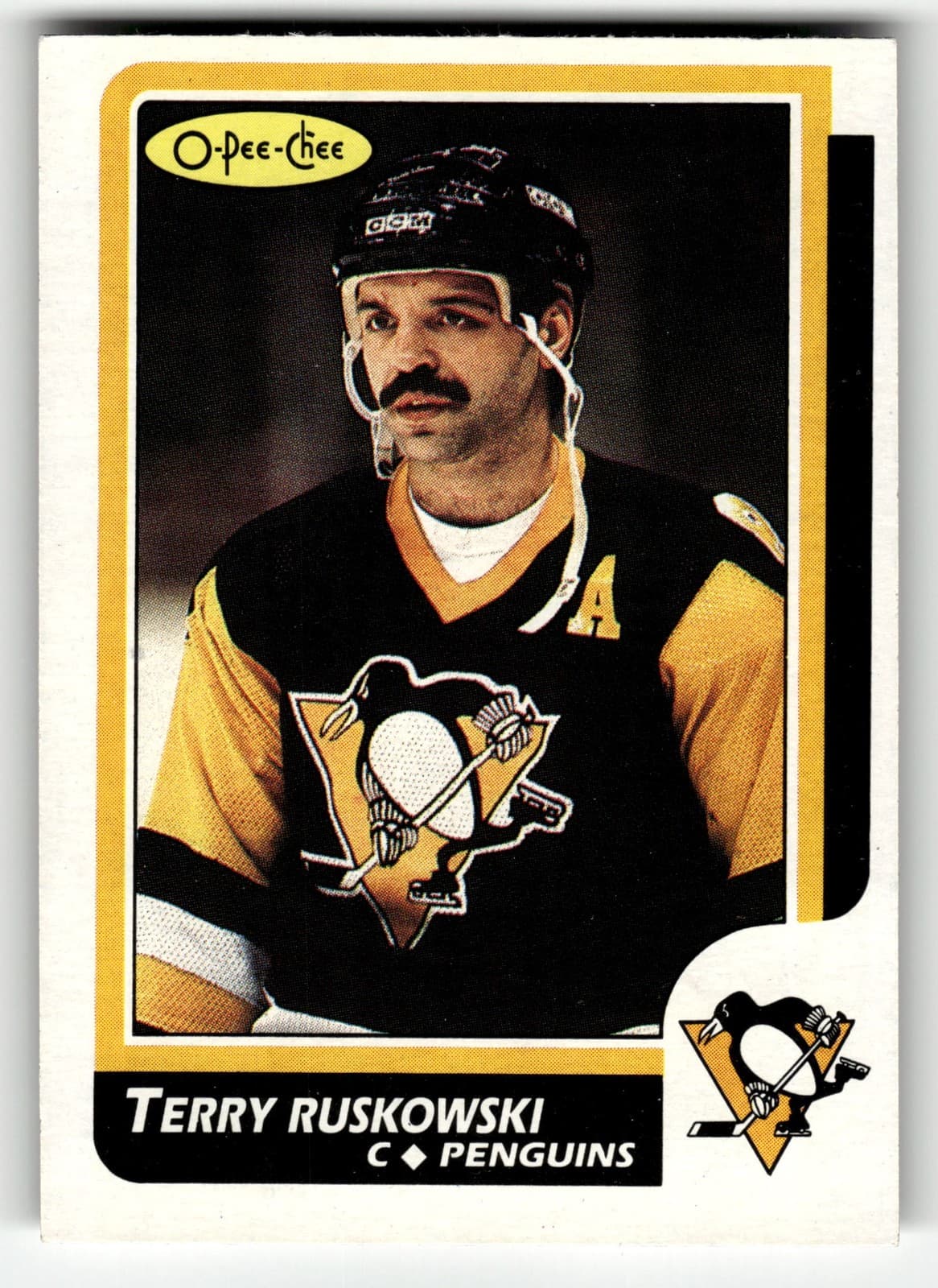 Terry Ruskowski trading card
