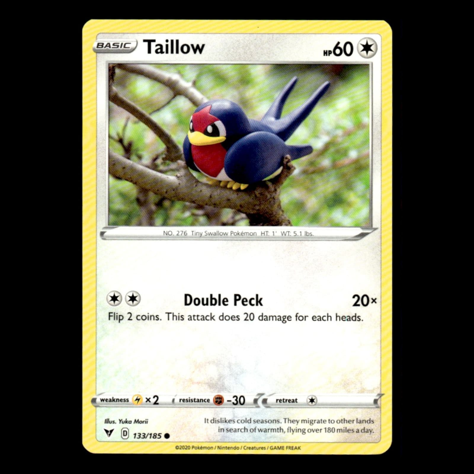 Taillow Sword 2020 Unknown