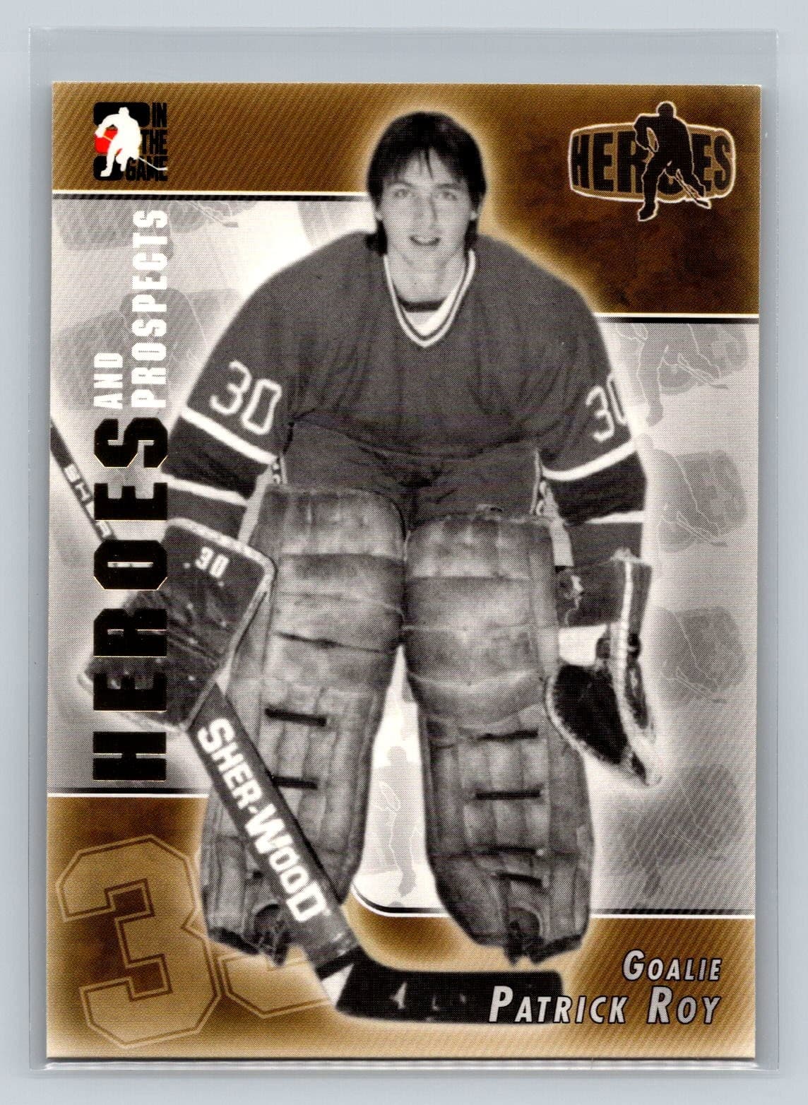 Prospects Patrick Roy 2004 In The Game 2004 In The Game