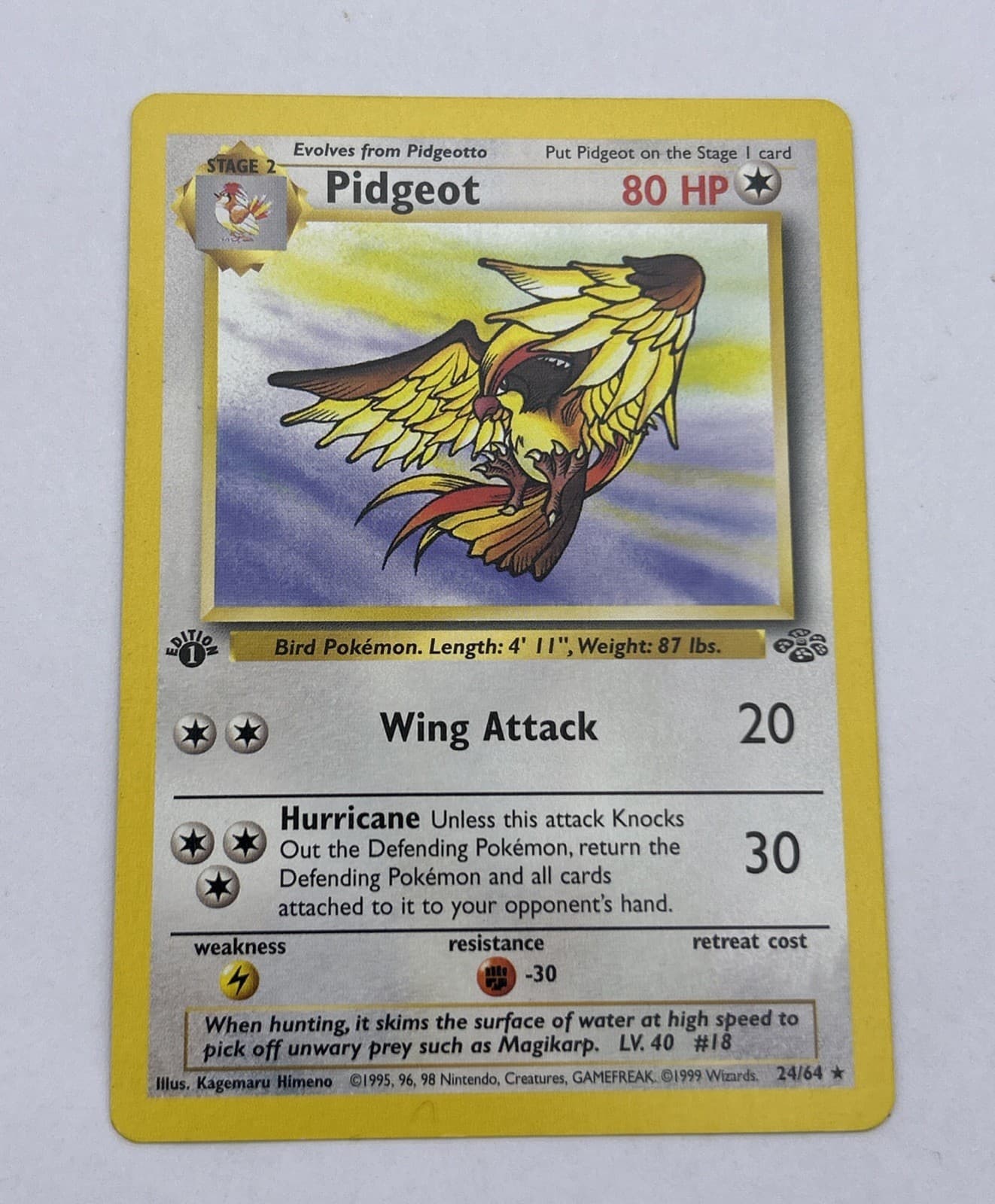 Pidgeot 1999 Jungle