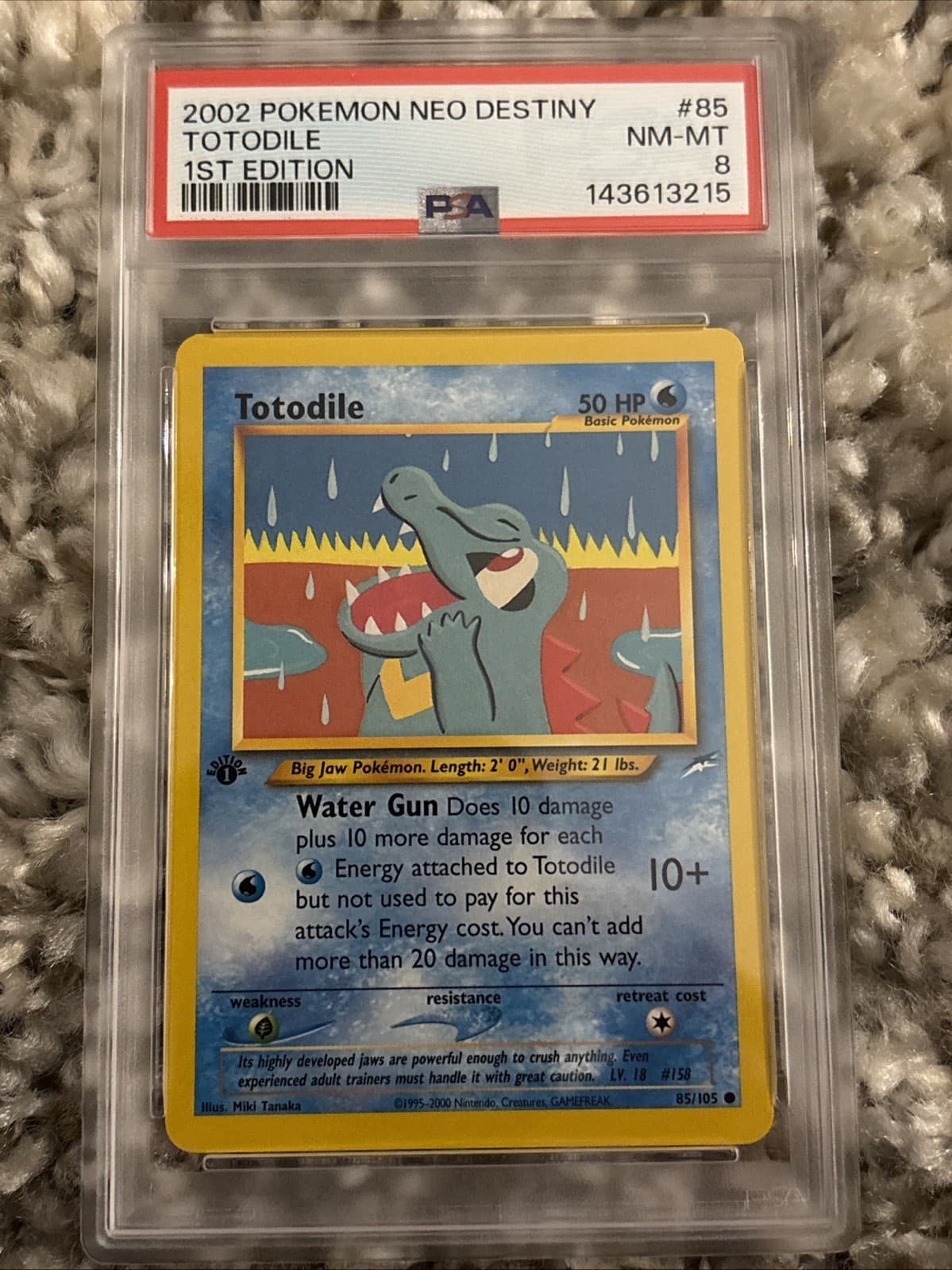 Totodile 2002 Neo