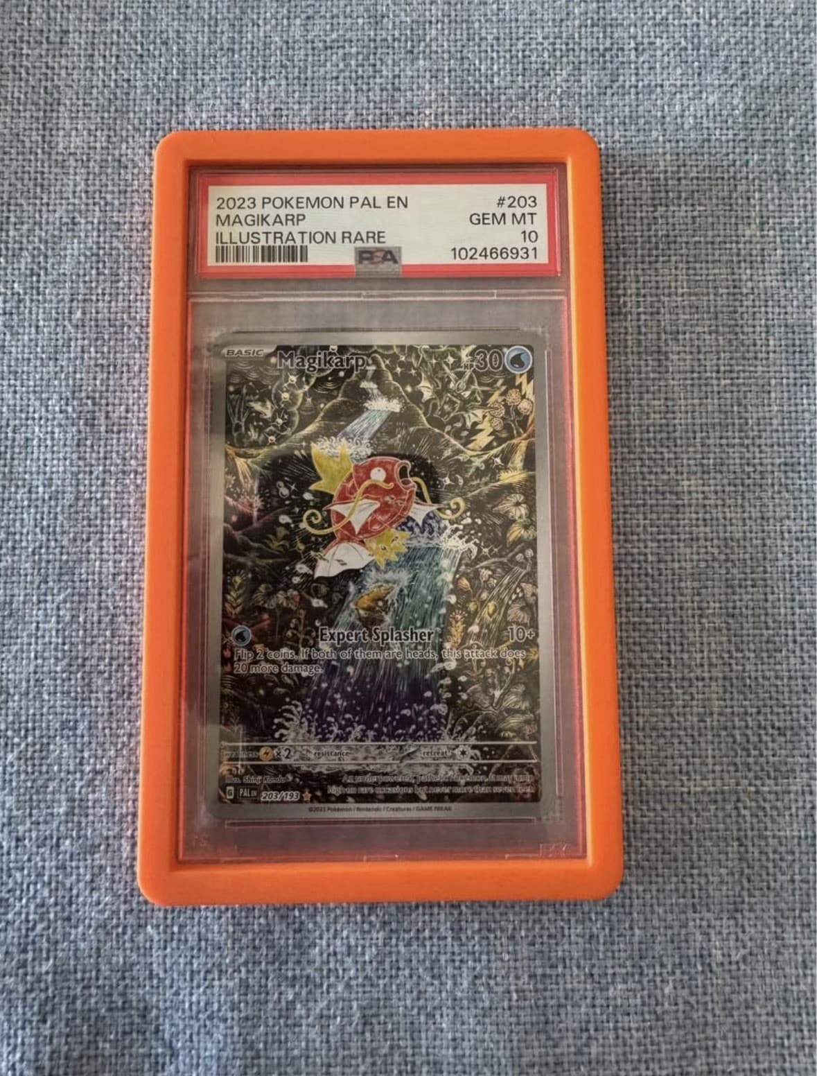 Magikarp 2023 Pokemon