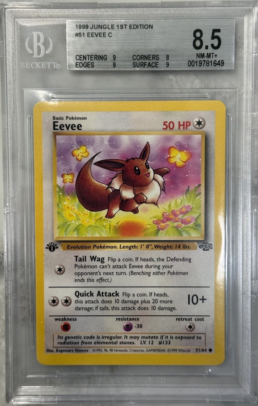 Eevee 1999 Jungle