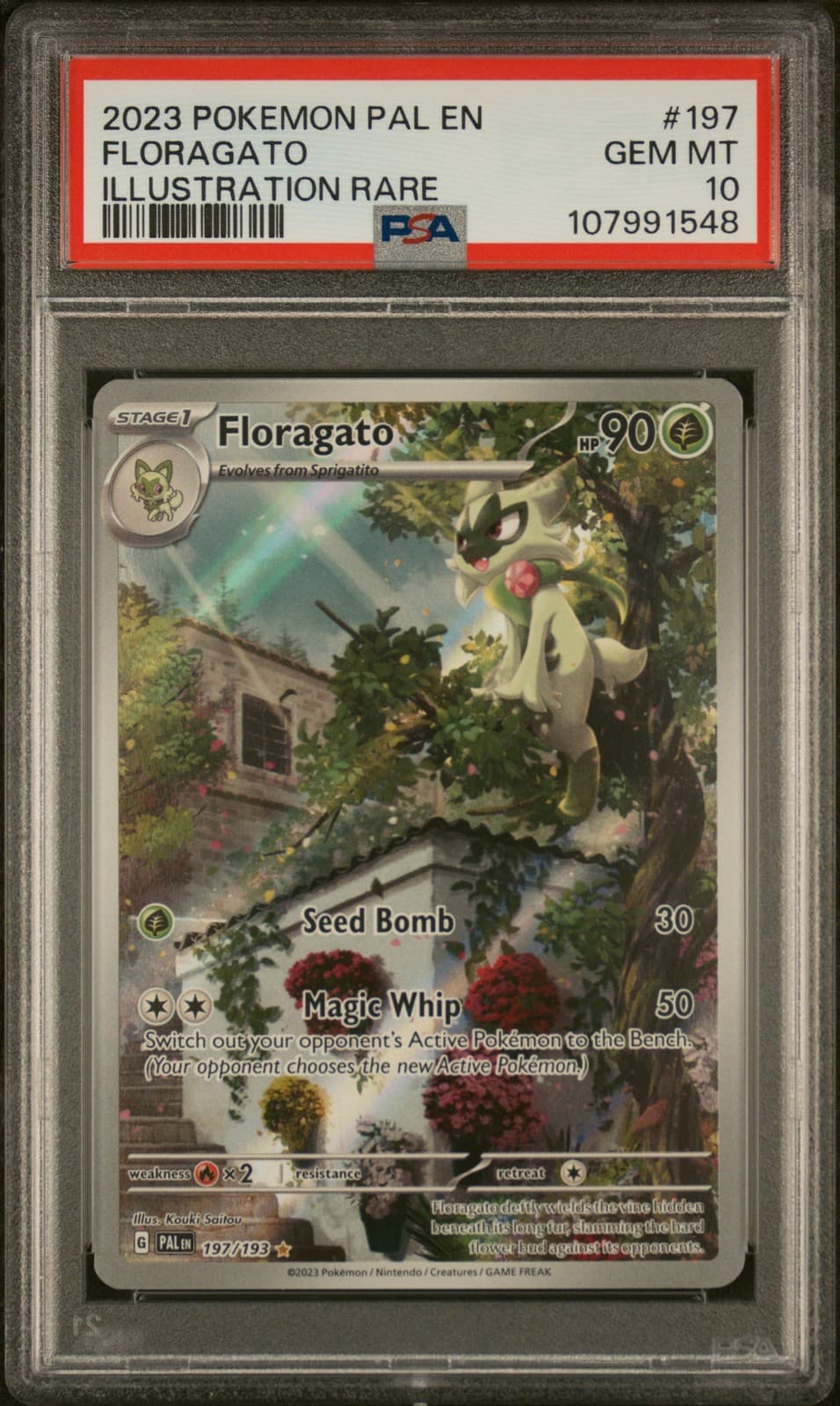 Floragato trading card
