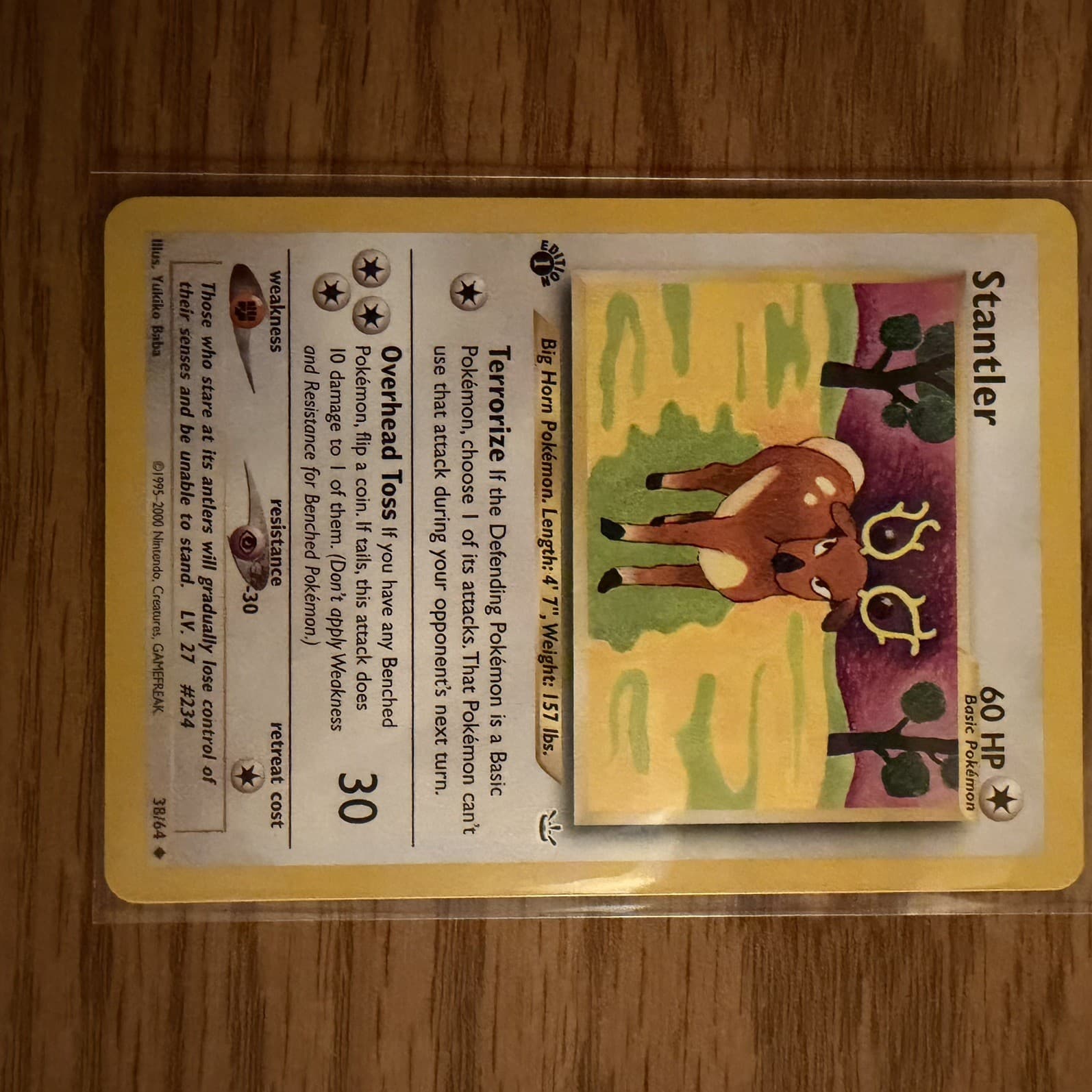 Stantler 2001 Pokemon