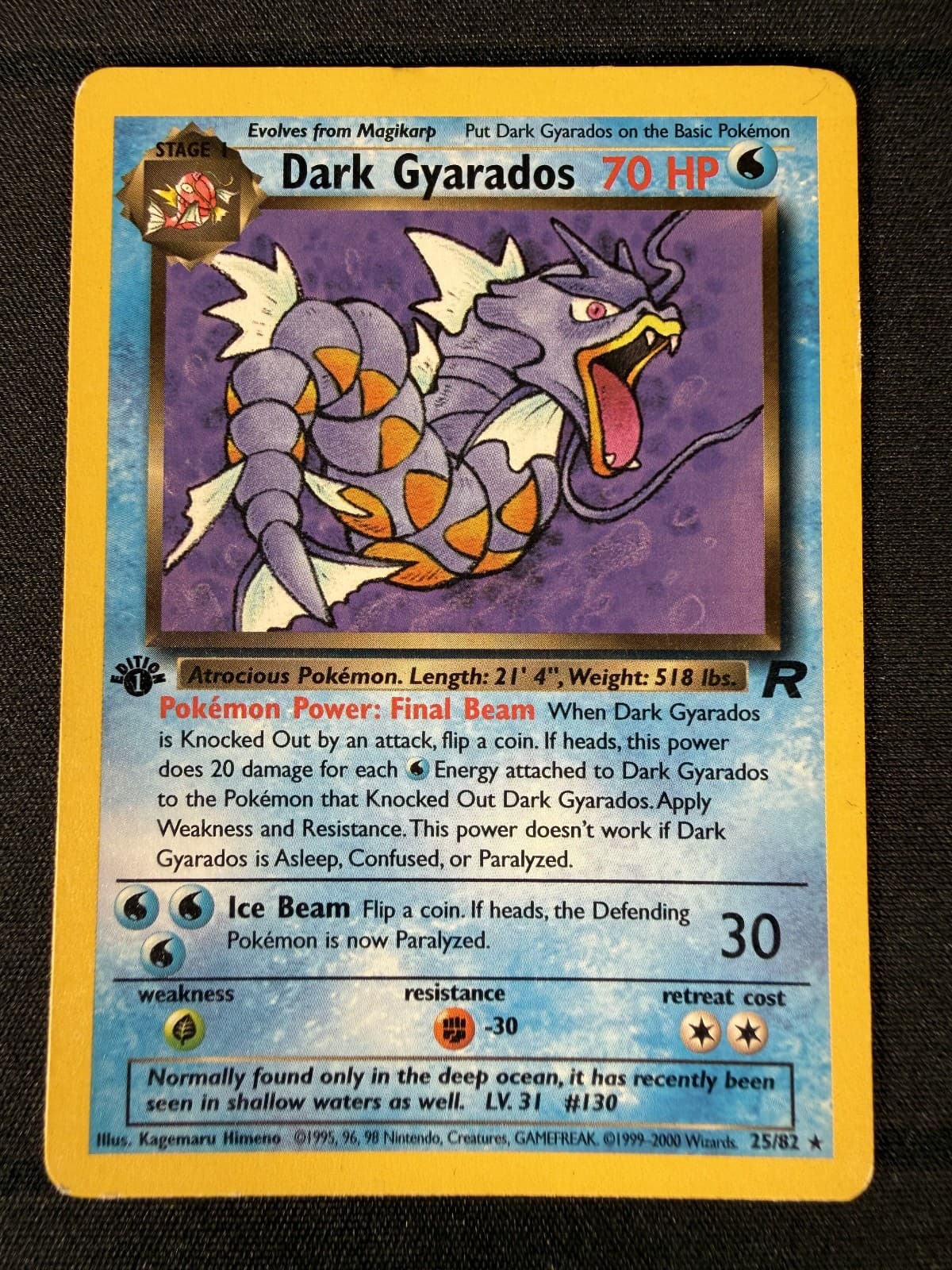 Dark Gyarados 2000 Team