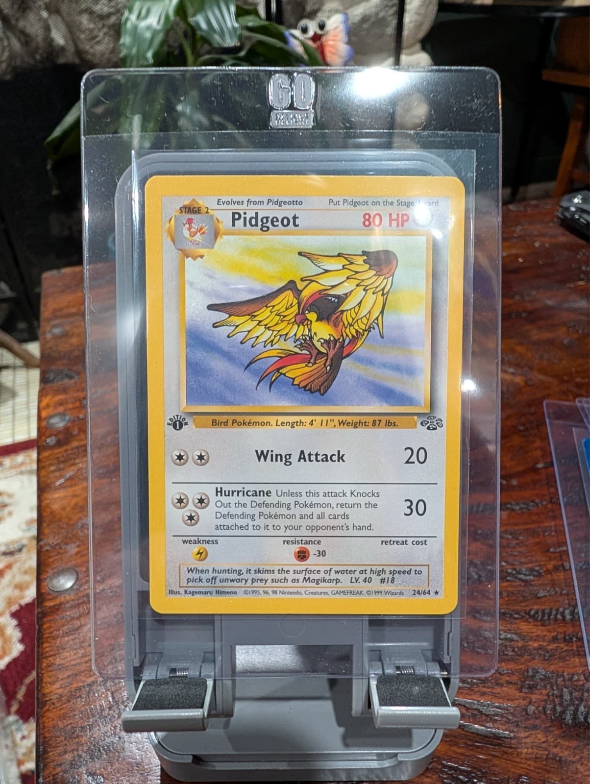 Pidgeot 1999 Pokemon Jungle 1st Edition