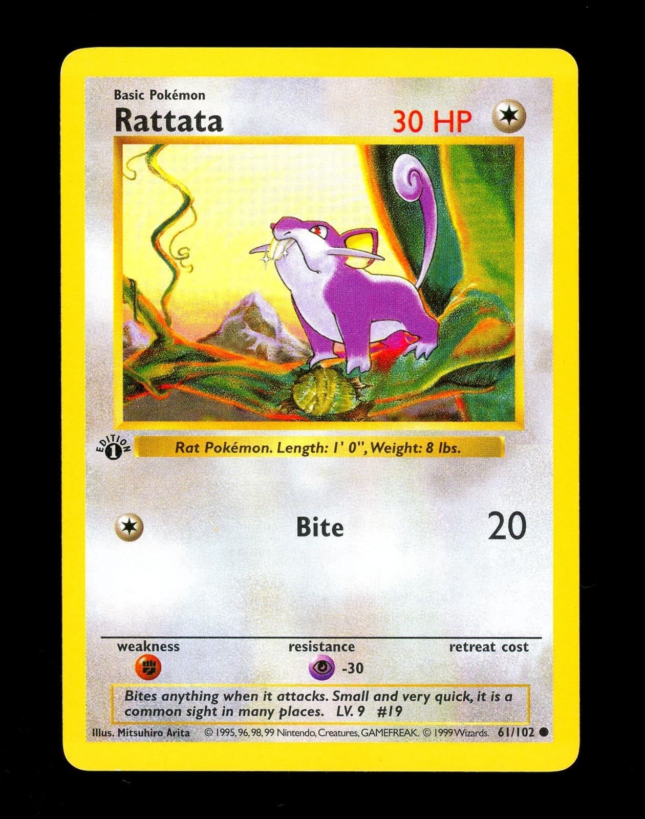 Rattata #61