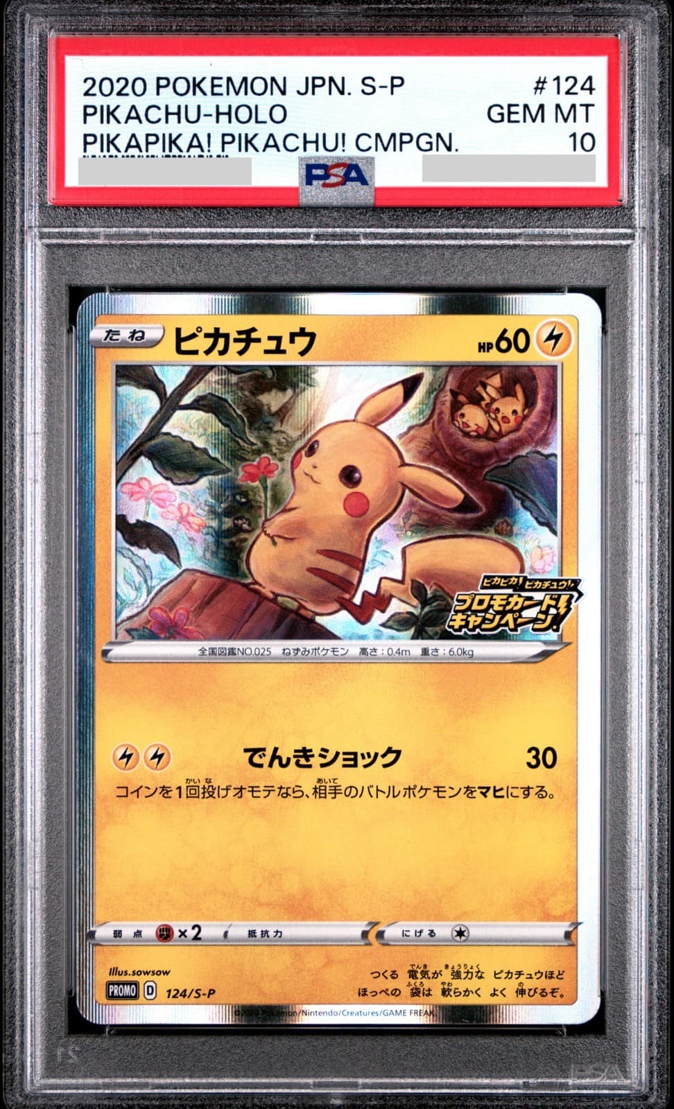 Pikachu 2020 Pokemon