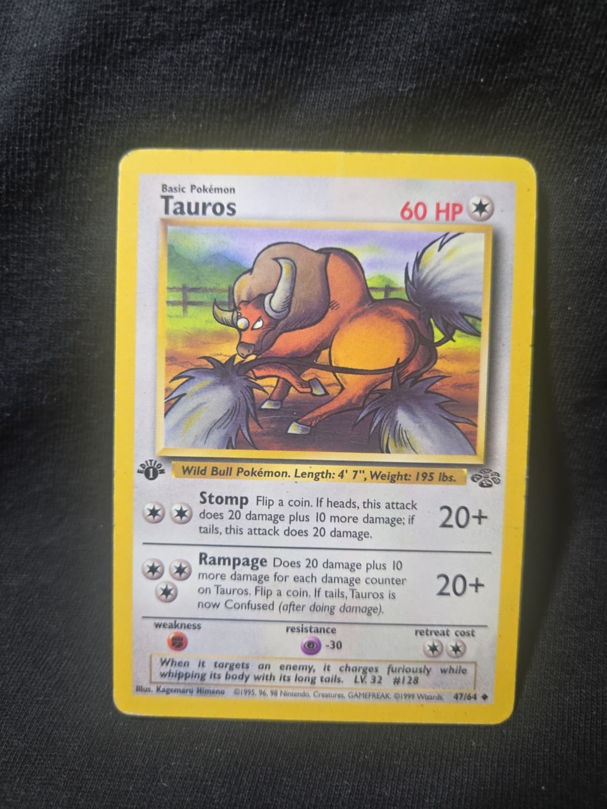 Tauros 1999 Jungle Jungle