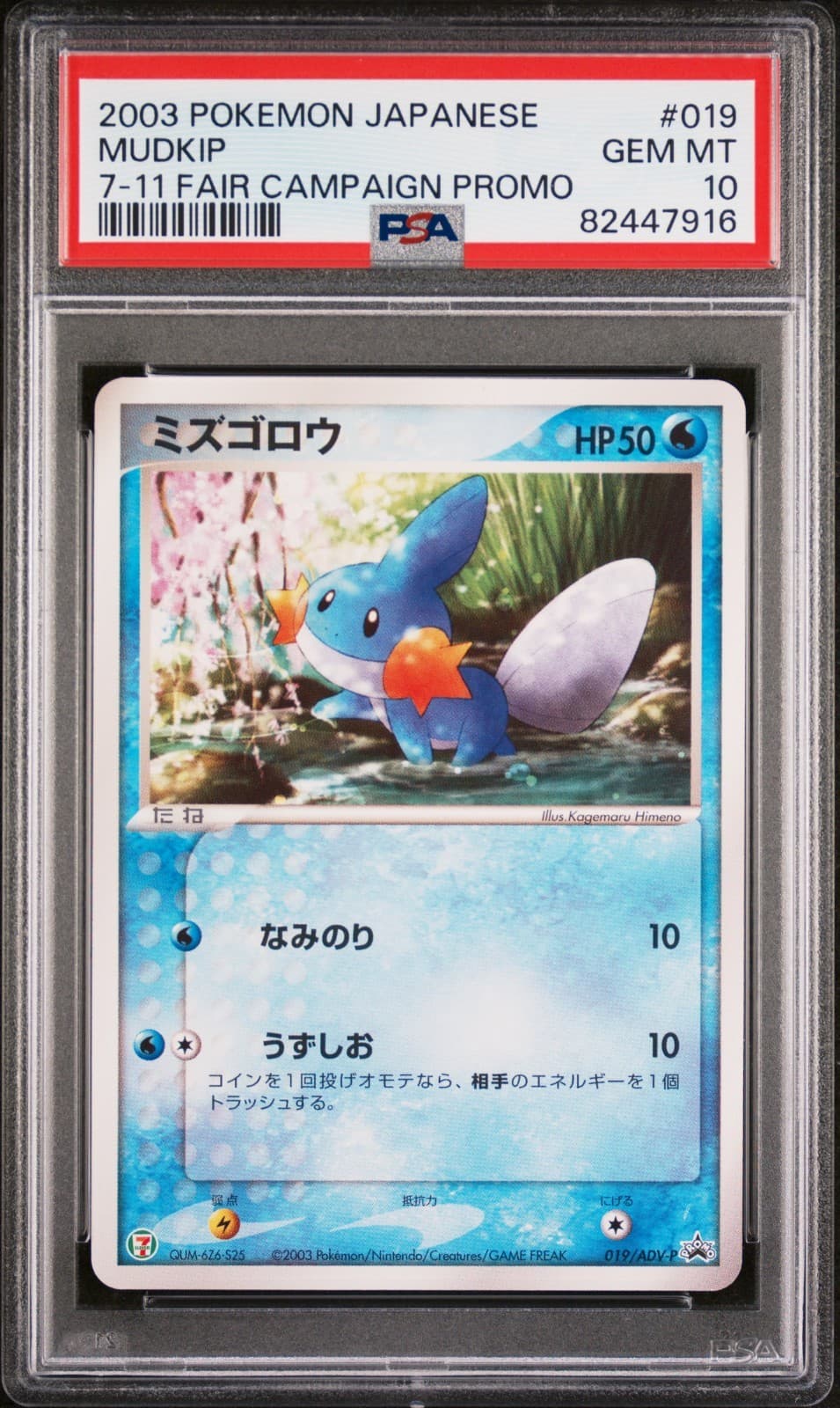Mudkip trading card