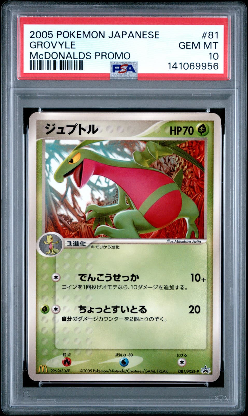 Grovyle trading card
