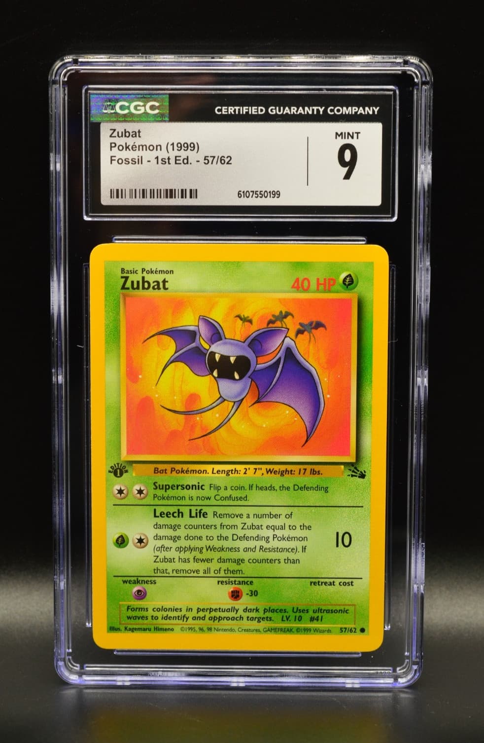 Zubat 1999 Fossil