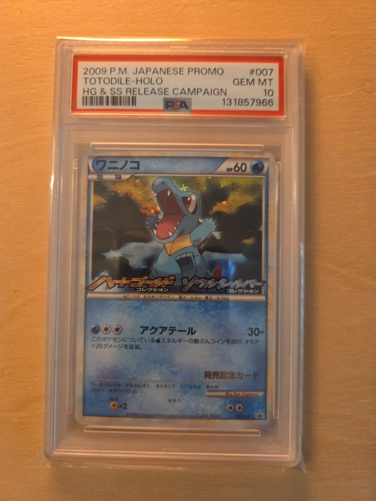 Totodile trading card