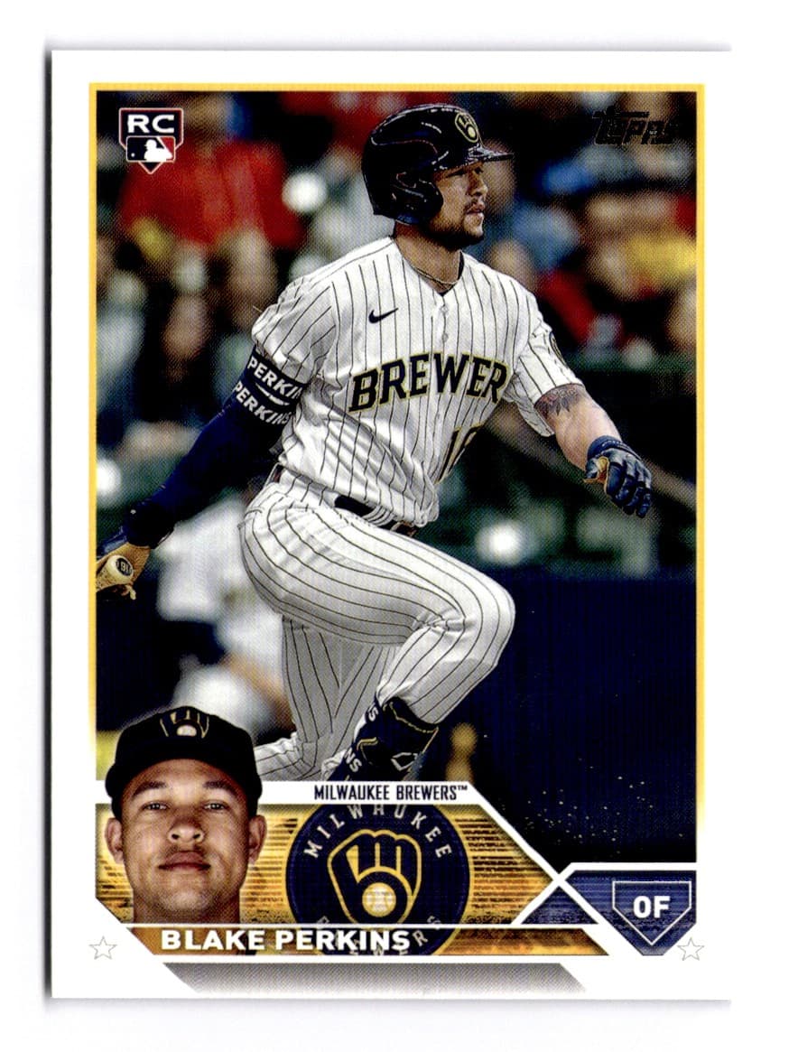 Blake Perkins trading card