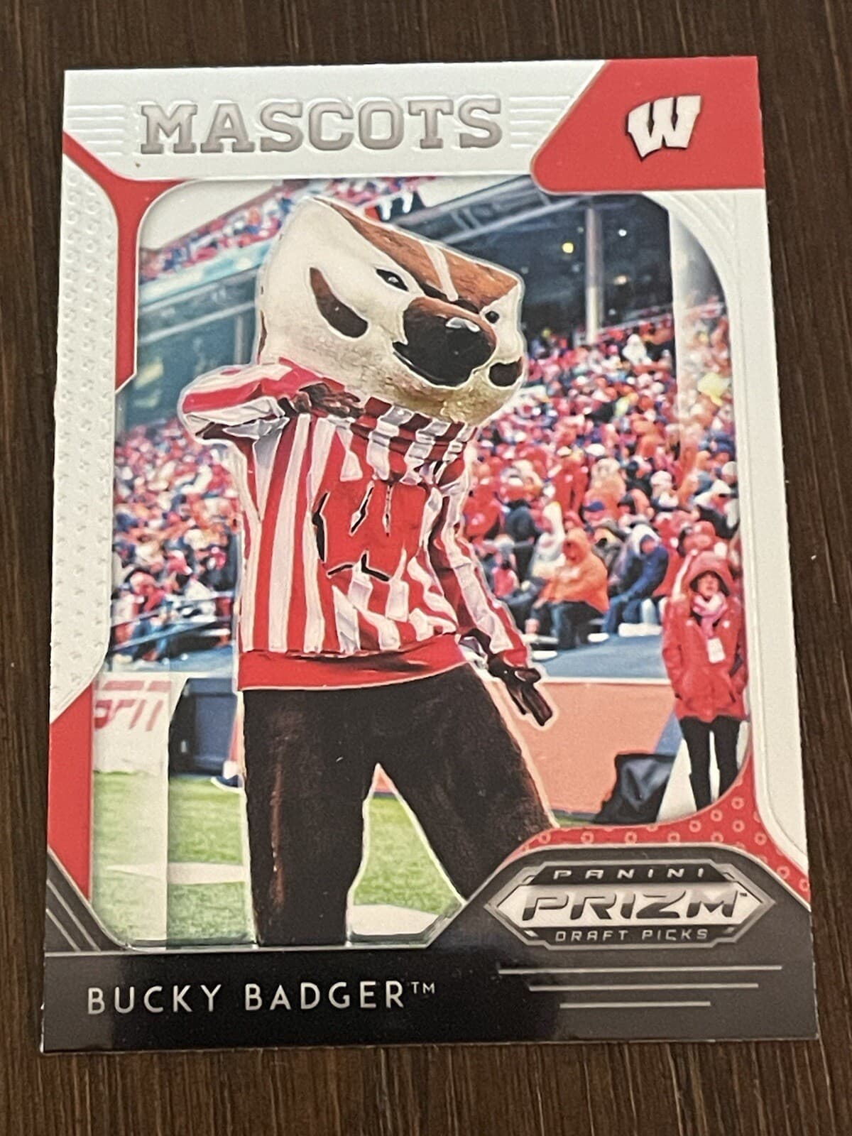 Bucky Badger trading card
