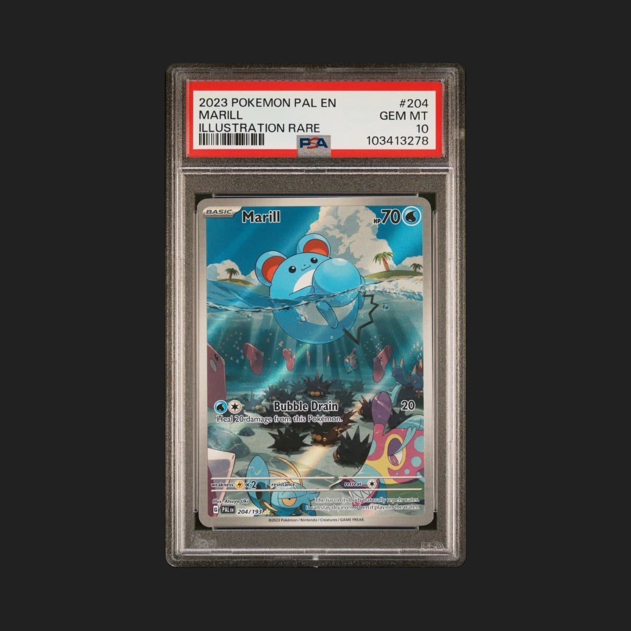 #204
