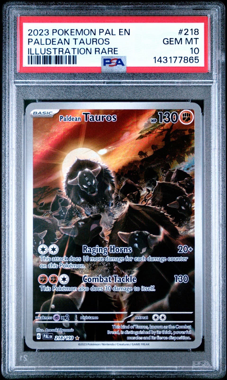 Paldean Tauros 2023 Pokemon