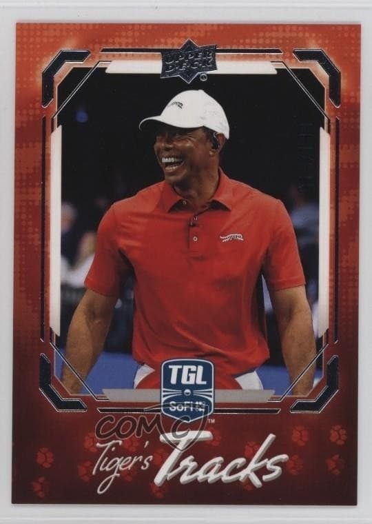 Tiger Woods #TT-3