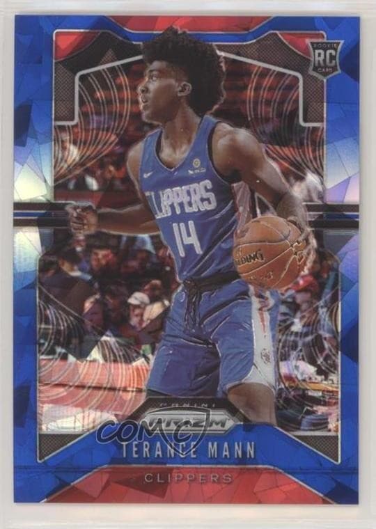 Terance Mann trading card