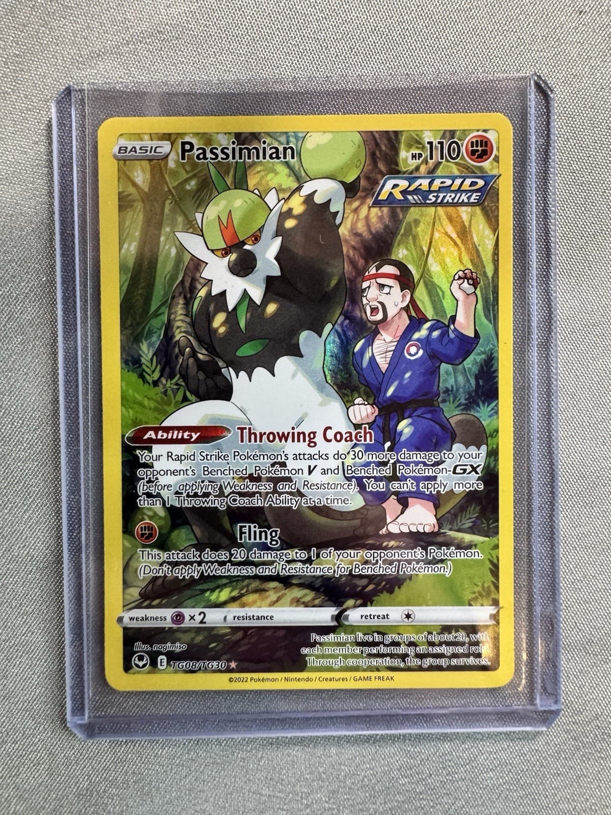 Passimian #TG08