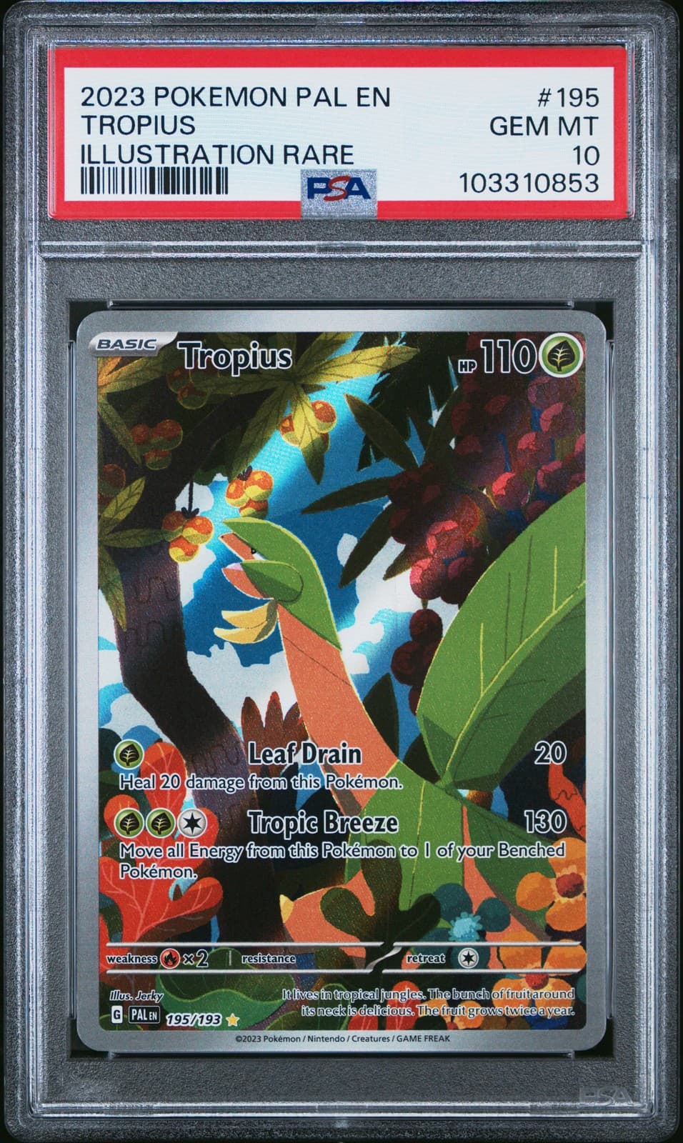 Tropius trading card