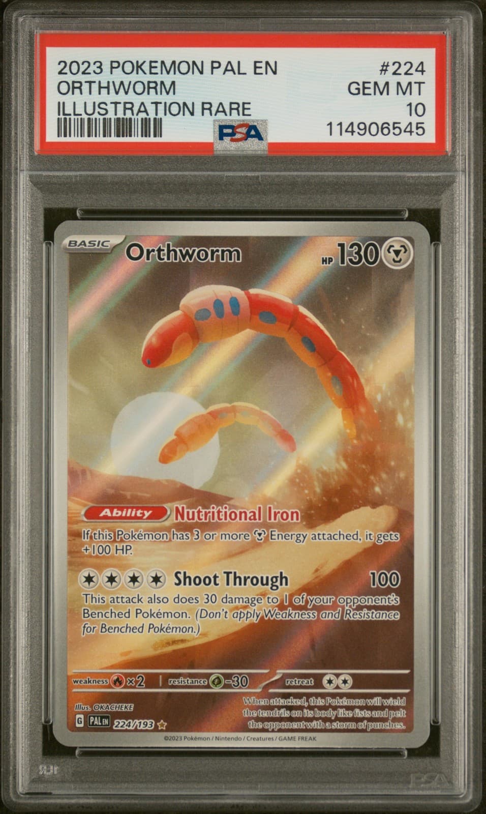 Orthworm #224