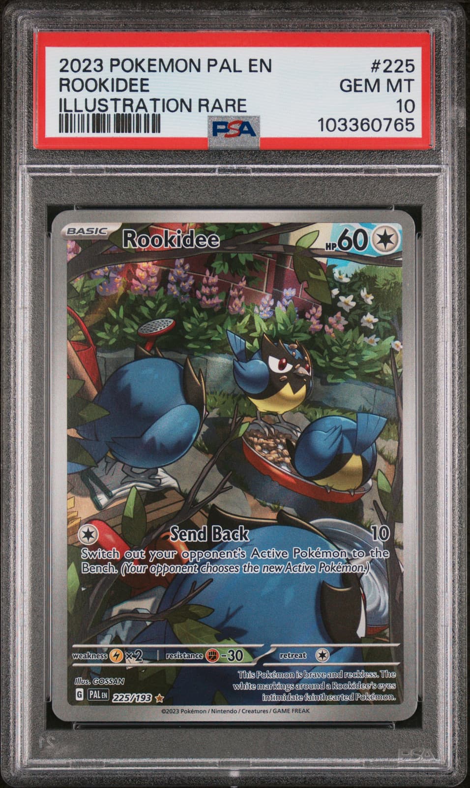Rookidee trading card