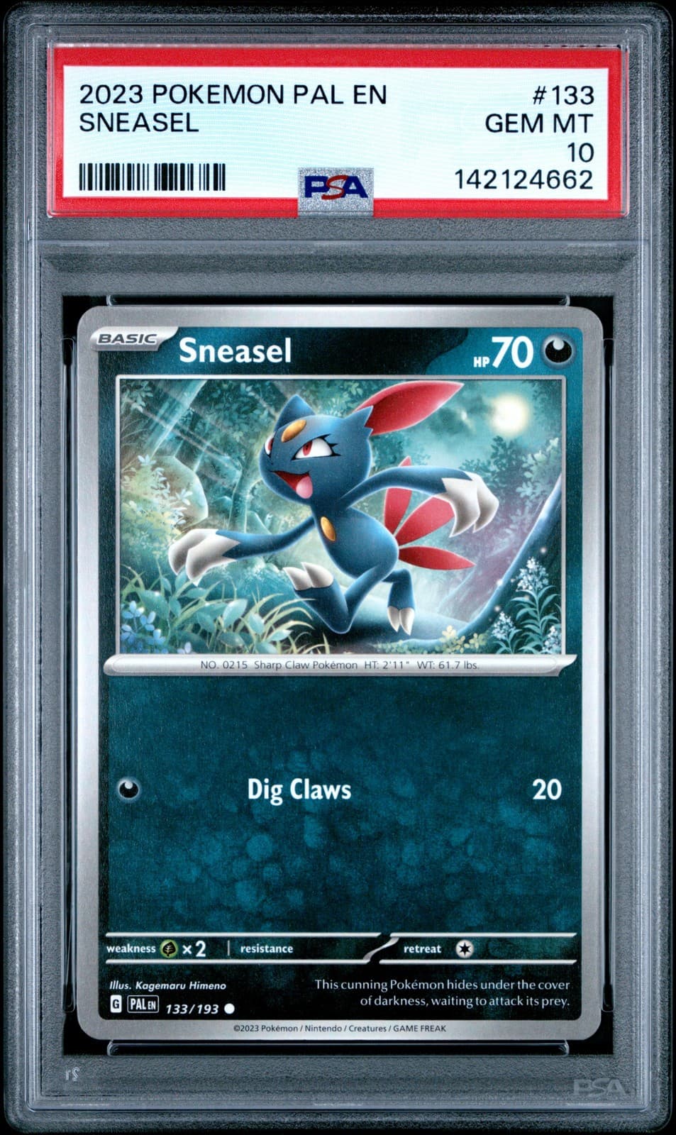 Sneasel #133