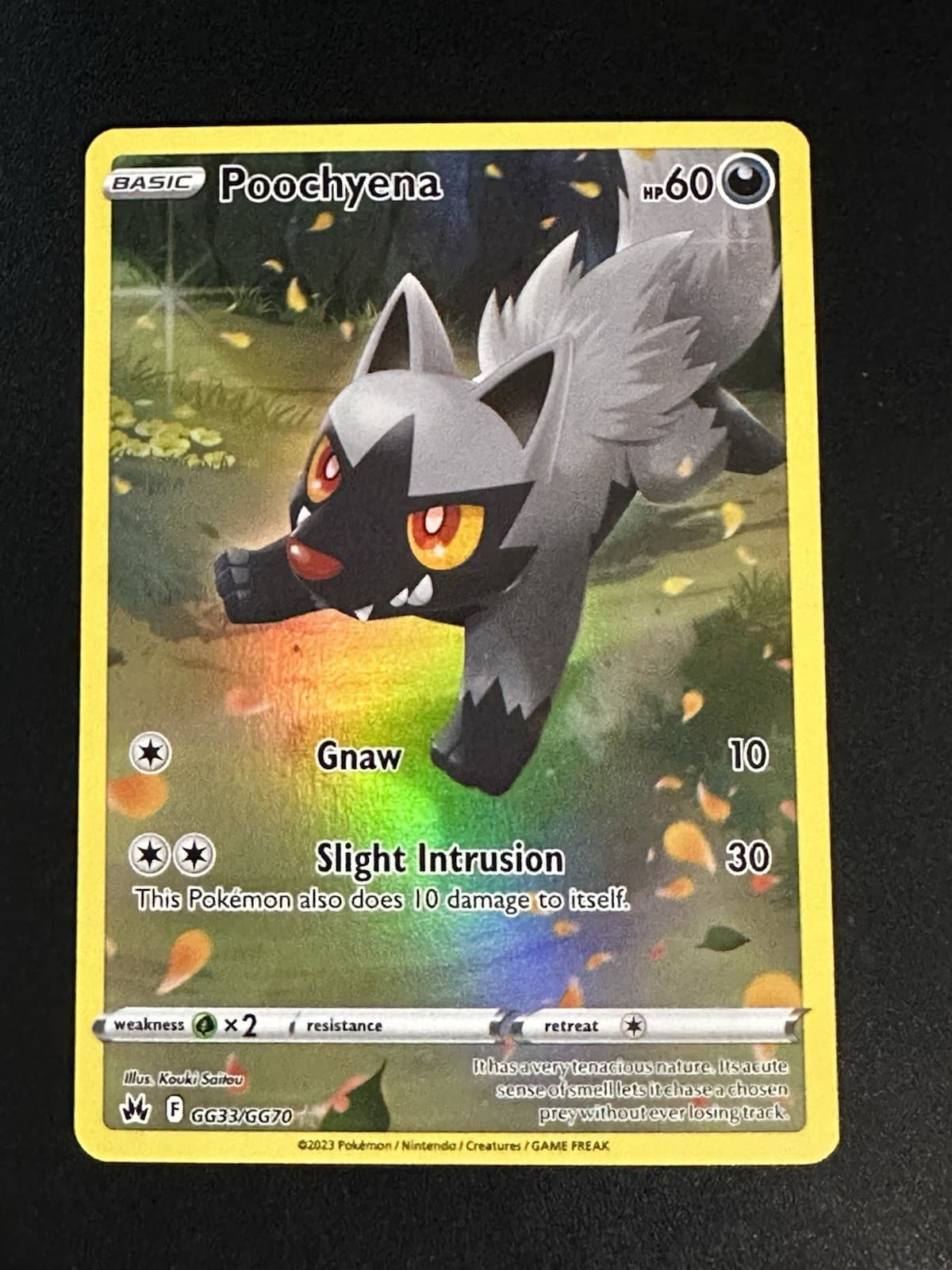 Poochyena #GG33