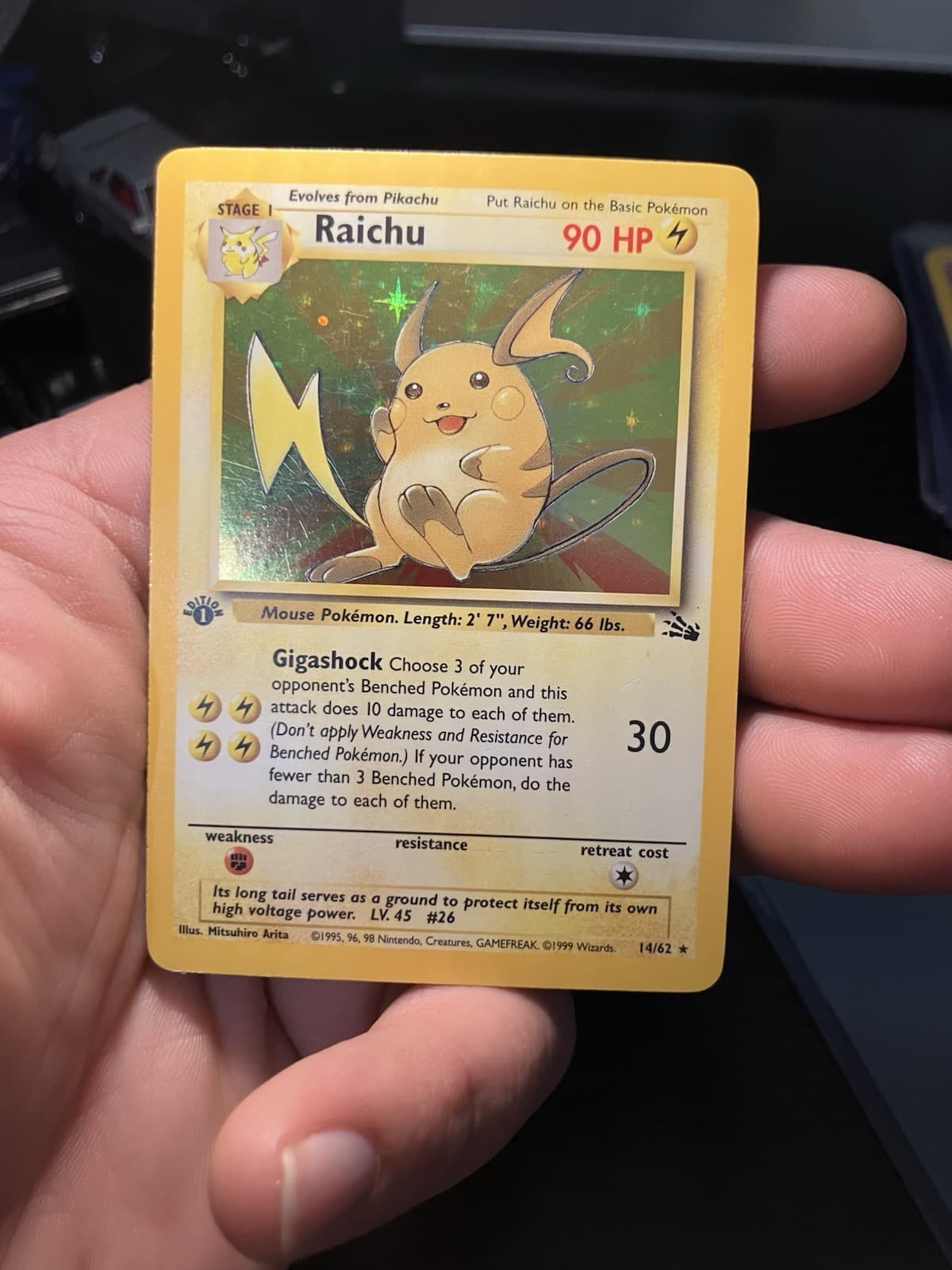 Raichu #14