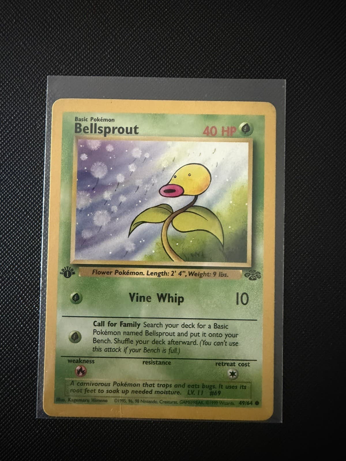 Bellsprout 1999 Pokemon Jungle