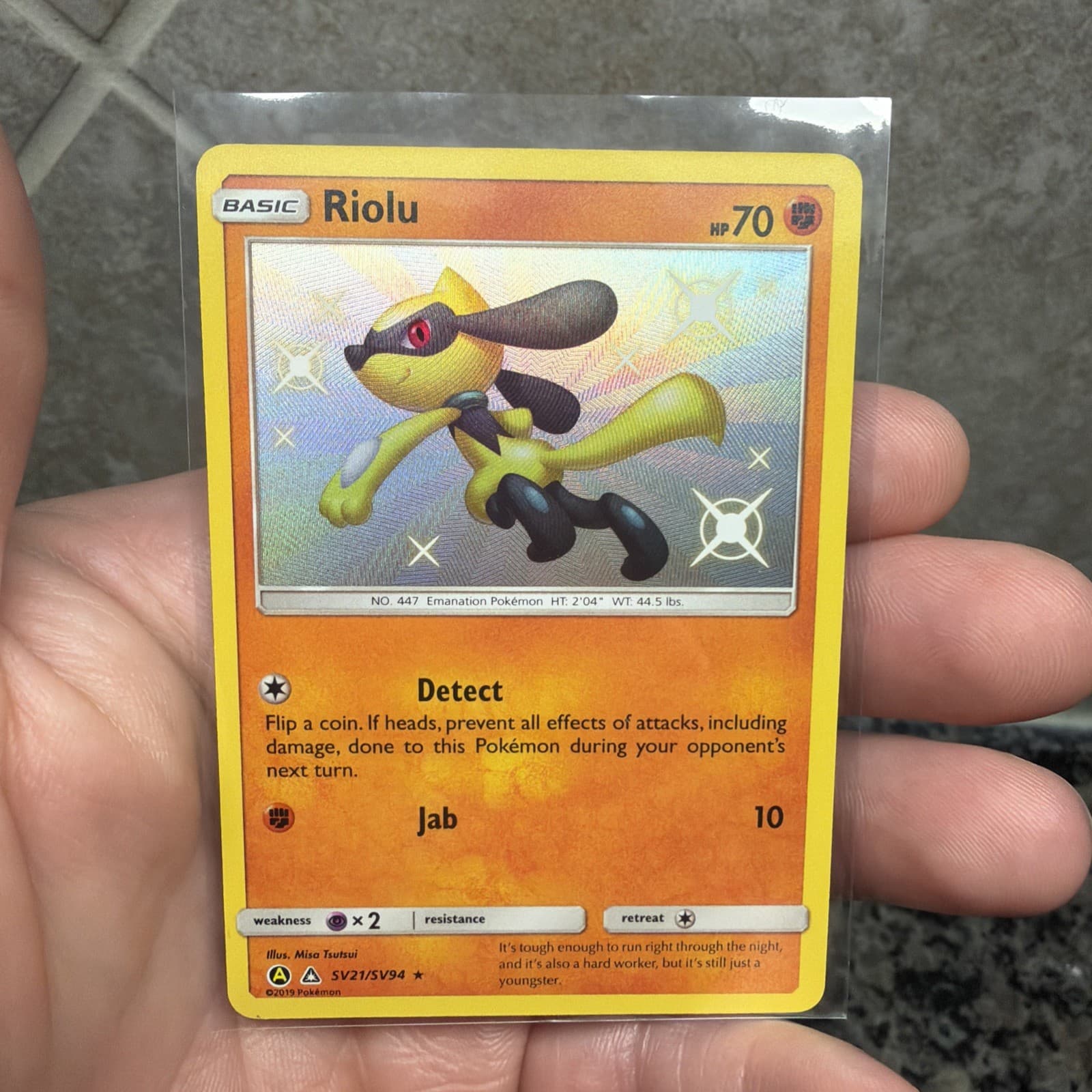 Riolu 2019 Pokemon Hidden Fates
