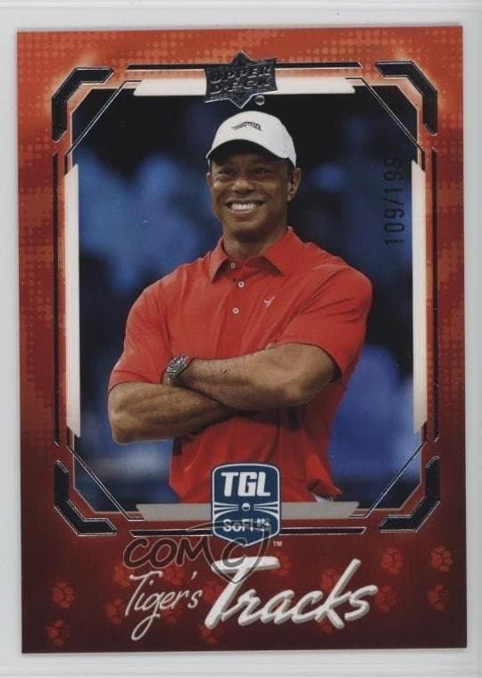 Tiger Woods #TT-2