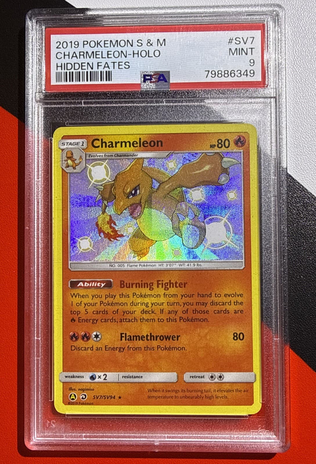 Charmander #7