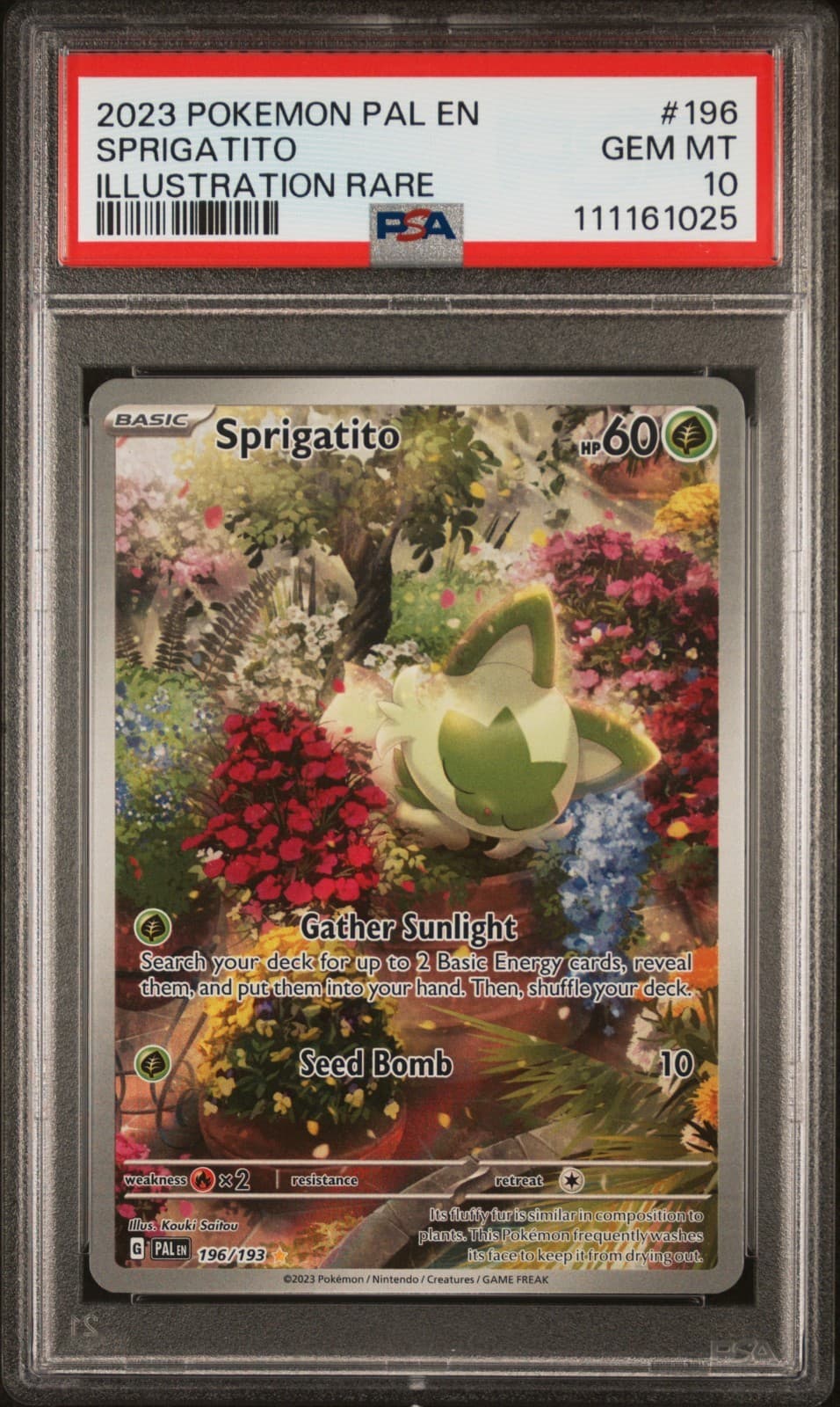 Sprigatito 2023 Scarlet