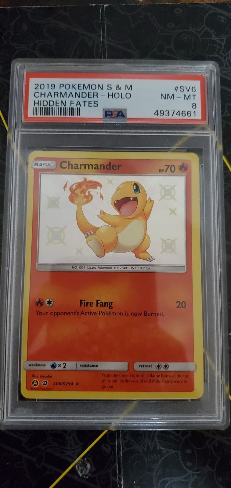 Charmander 2019 Sun
