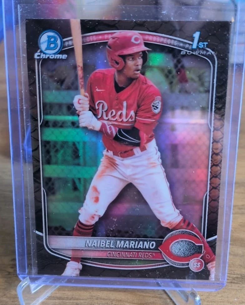 Naibel Mariano trading card