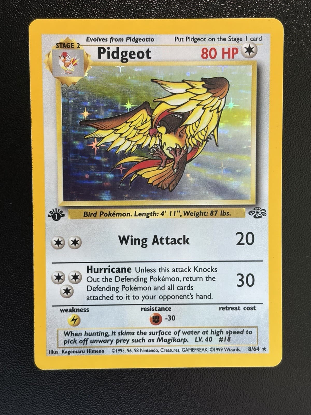 Pidgeot 1999 Pokemon Jungle