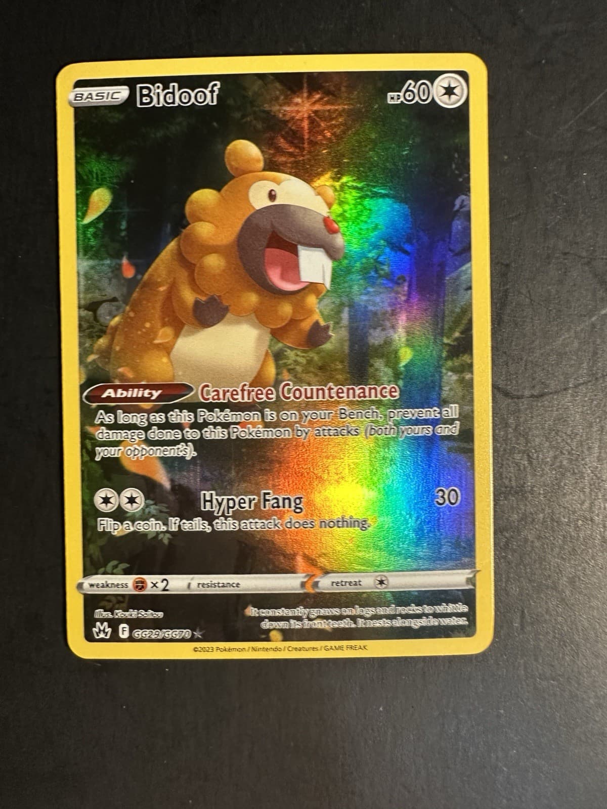 Bidoof #GG29
