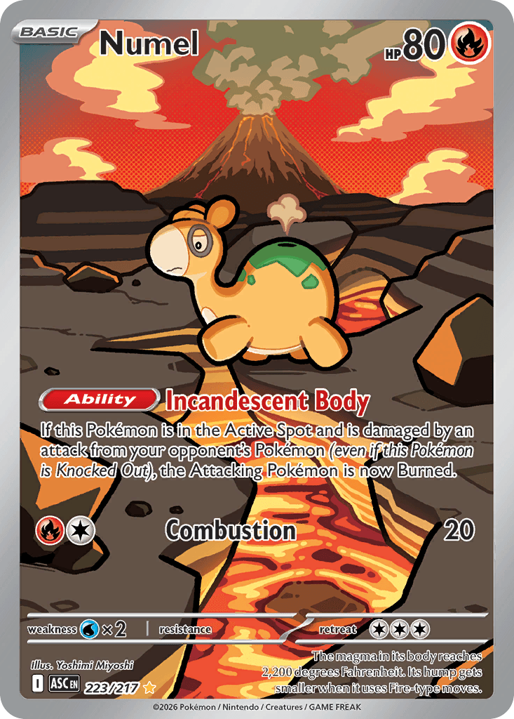 #223