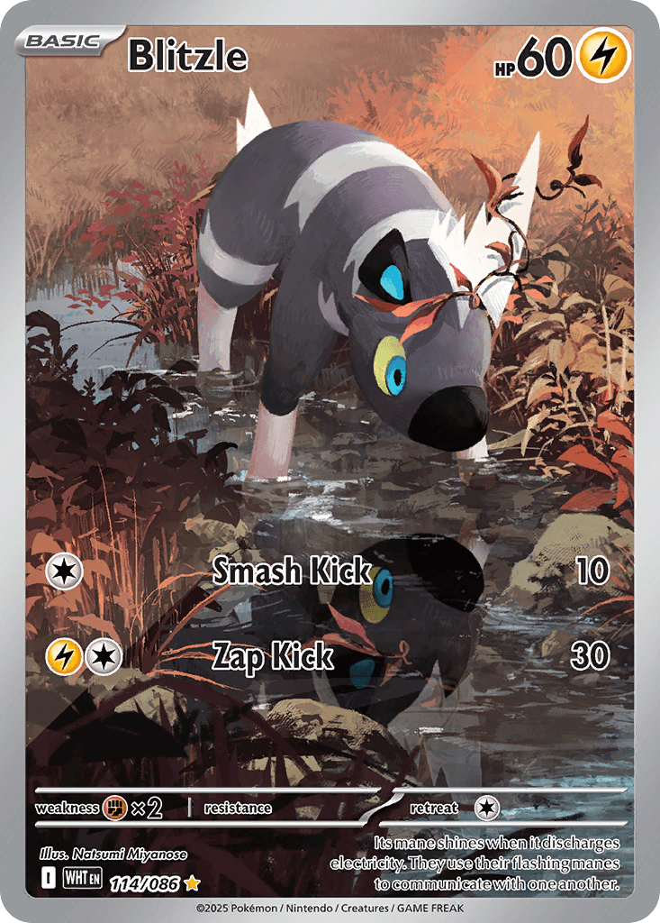 Blitzle trading card