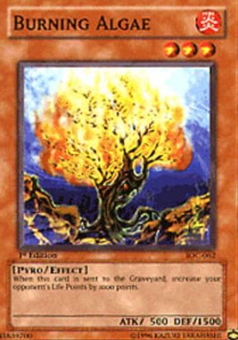 Burning Algae 2004 Yu-Gi-Oh!