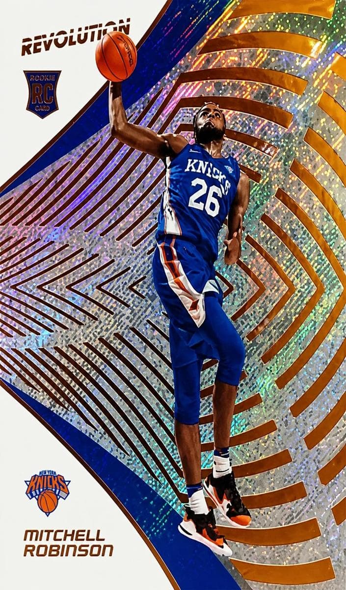 Mitchell Robinson #114
