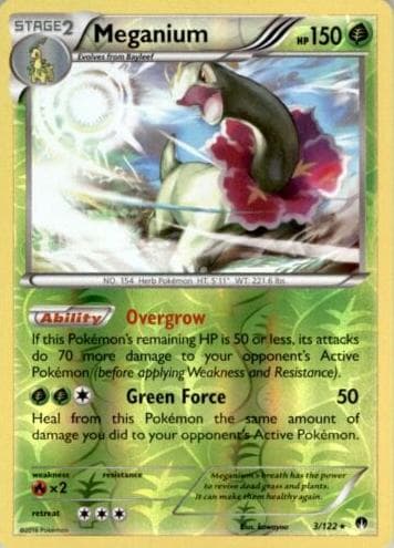 Meganium #3