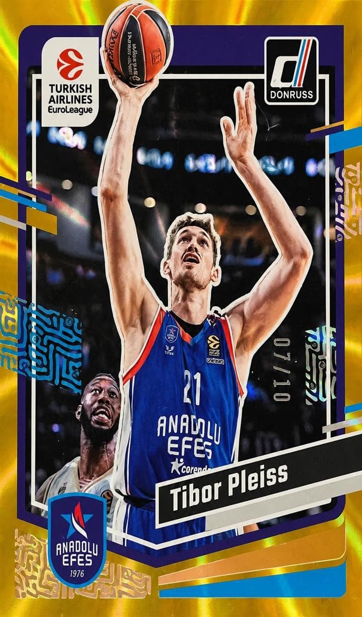 Tibor Pleiss #17